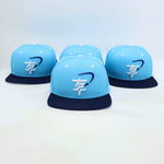 Snapback "Northern forests"