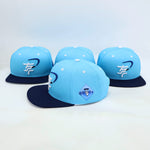 Snapback "Northern forests"