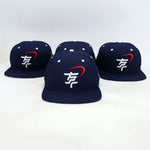 Snapback "Stars of Freedom"