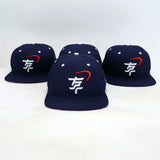 Snapback "Stars of Freedom"